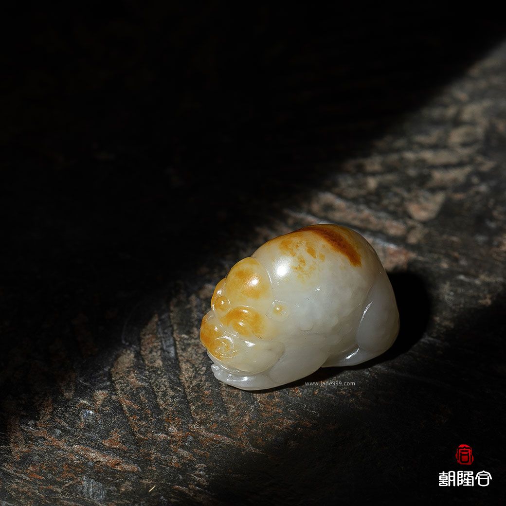 精品金錢(qián)纏身